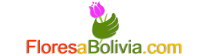 floresabolivia.com